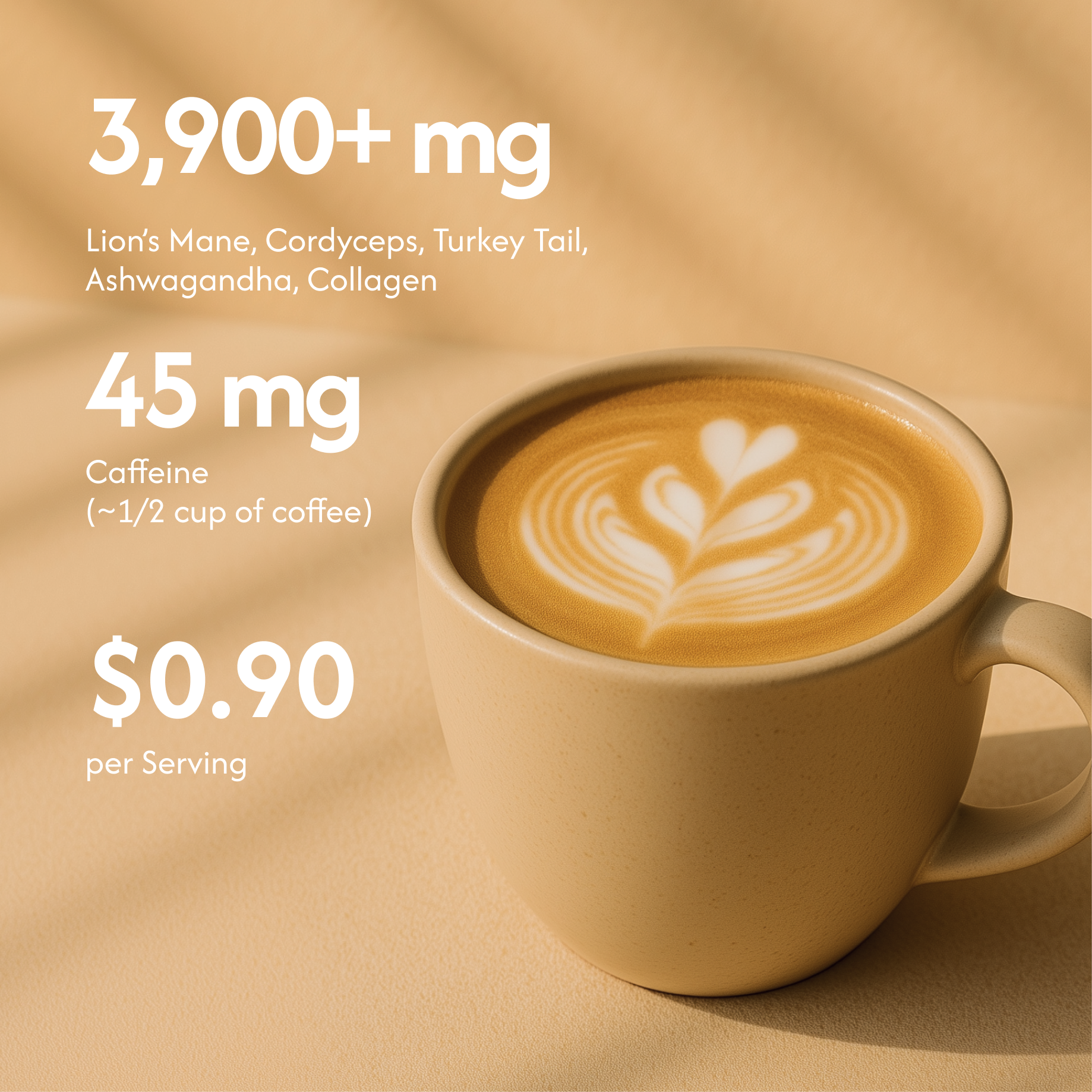 Superfood Brew + FREE Starter Kit